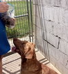 Tucker - Photo 12