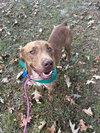 Tucker - Photo 1
