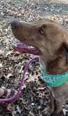 Tucker - Photo 3