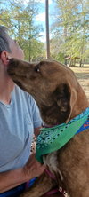 Tucker - Photo 4