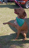 Tucker - Photo 5