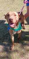 Tucker - Photo 6