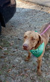 Tucker - Photo 7