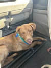 Tucker - Photo 9