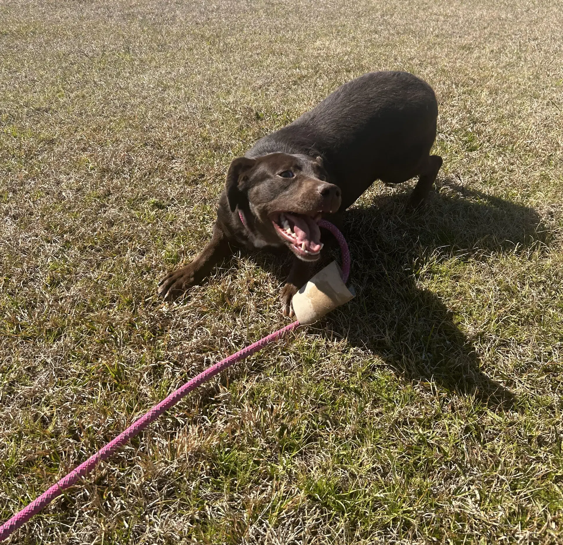 Lilah image 2