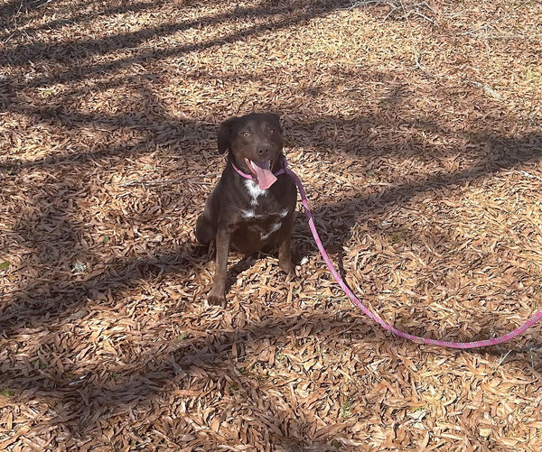 Lilah
