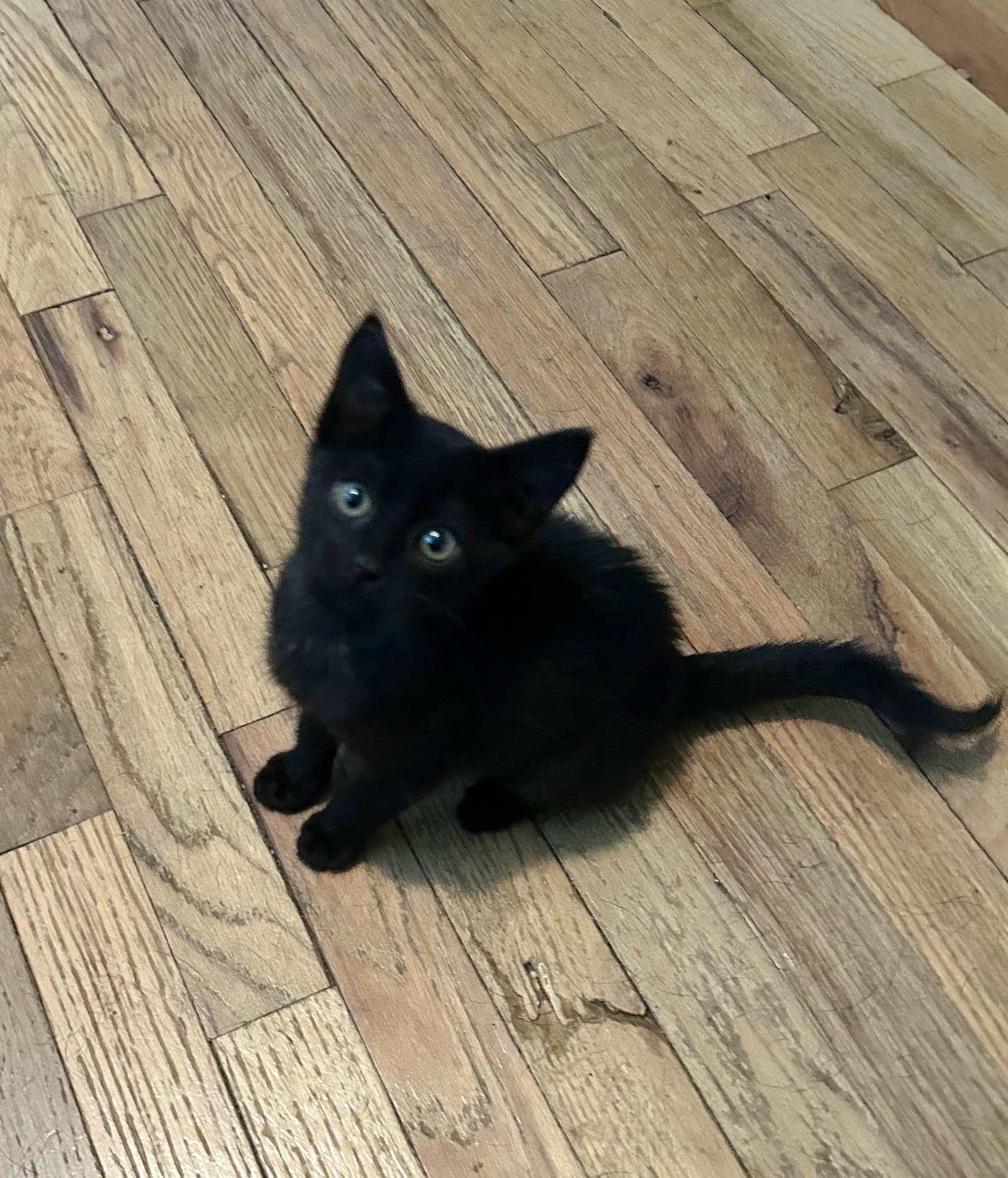 Salem, photo 7