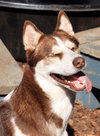Juni - Photo 3