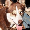 Juni - Photo 4