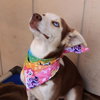 Sally - Photo 3