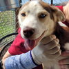 Sally - Photo 5