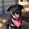 Lilly - Photo 3