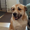 Gracie - Photo 3