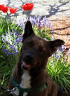 Trac - Photo 6
