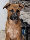 Simon - Photo 3