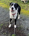 Skippy - Photo 4
