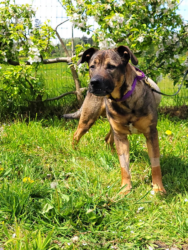 Max