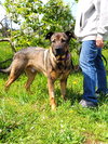 Max - Photo 3