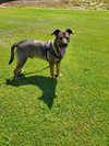 Max - Photo 1