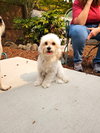 Zadie - Photo 1