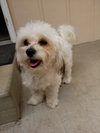 Zadie - Photo 2