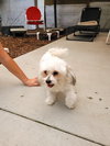Zadie - Photo 3