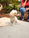 Zadie - Photo 4