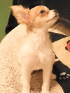 Velma - Photo 2