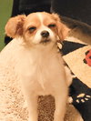 Velma - Photo 3