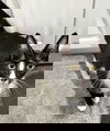 adoptable Cat in  named Anahia