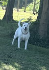 Ghost - Photo 1