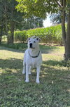 Ghost - Photo 2