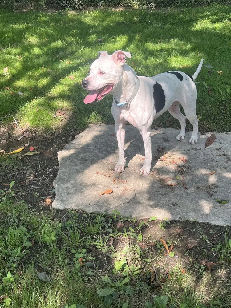 Maisy image 4