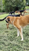 Suzie Q - Photo 3