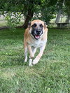 Suzie Q - Photo 4