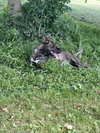 Justice - Photo 3
