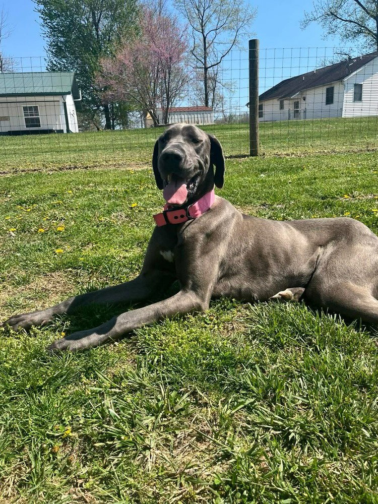 Luna Grace