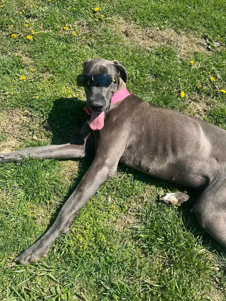 Luna Grace image 2