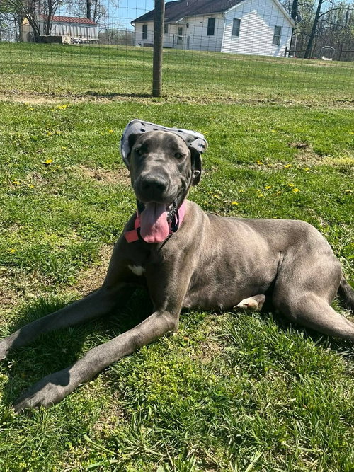 Luna Grace photo 4