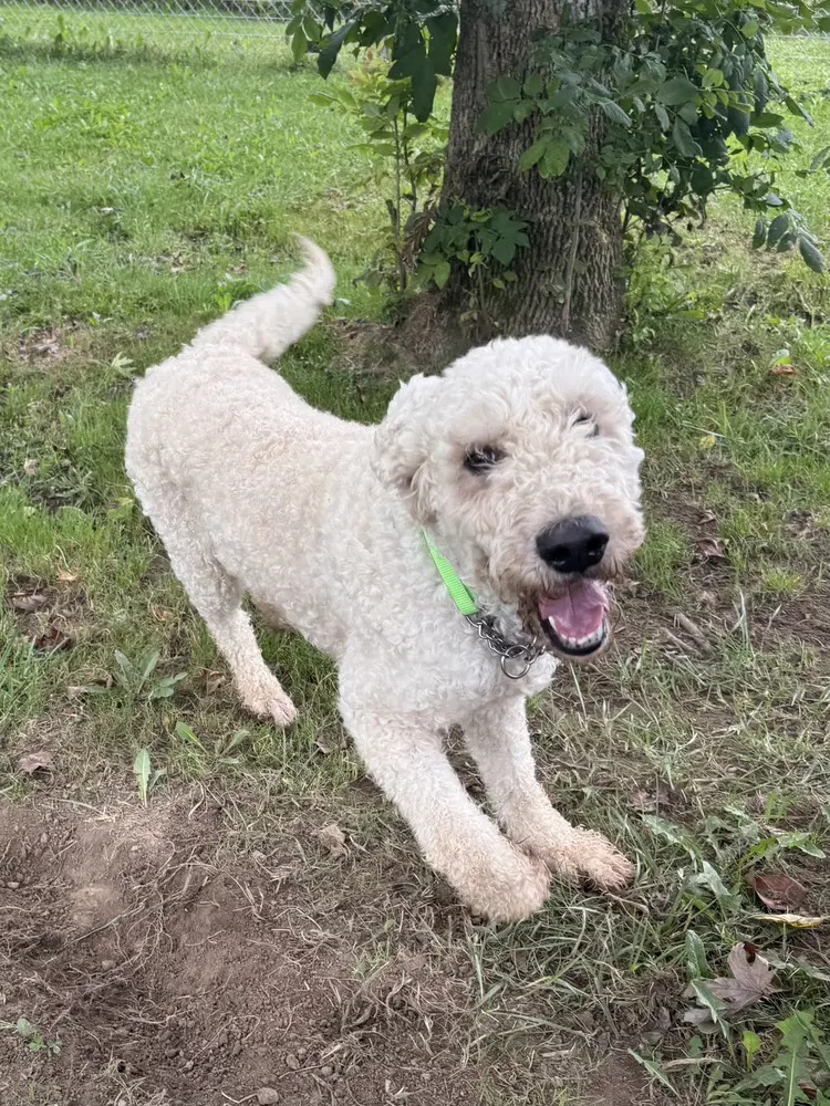 Maggie image 2