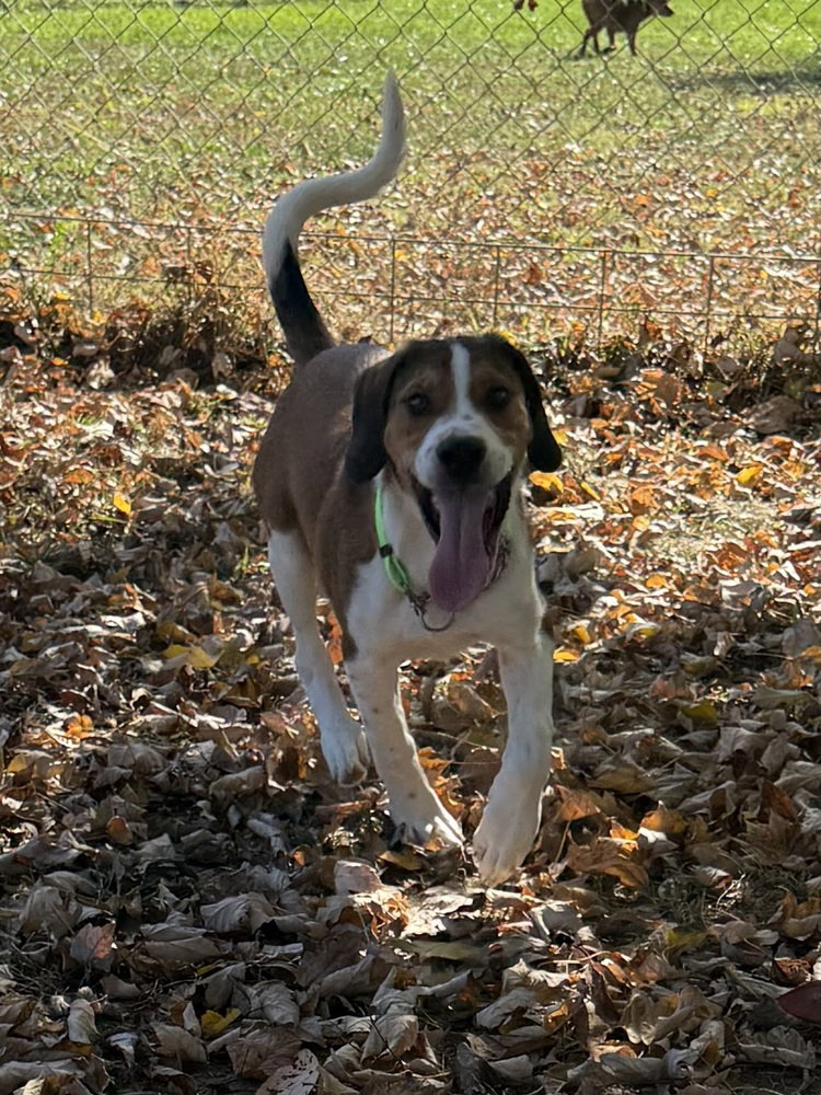 Jason, photo 2