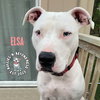 Elsa - Photo 4