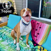 Topaz - Photo 3