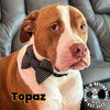 Topaz - Photo 1