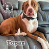 Topaz - Photo 2