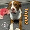 Topaz - Photo 3