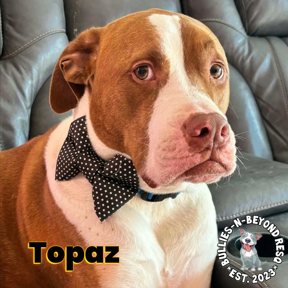 Topaz image 4