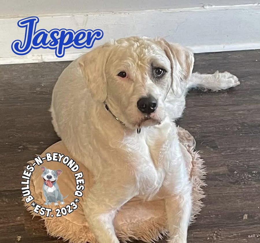 Jasper