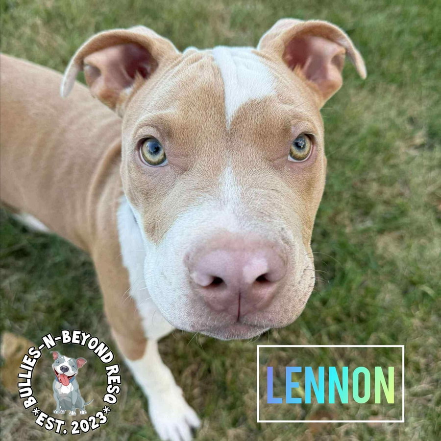 Lennon