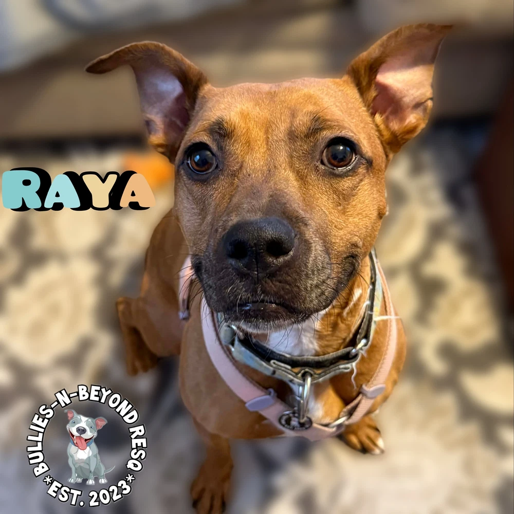Raya